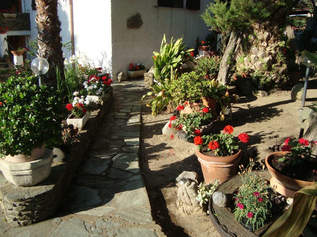 Appartamento Solmar Palmadula Esterno foto